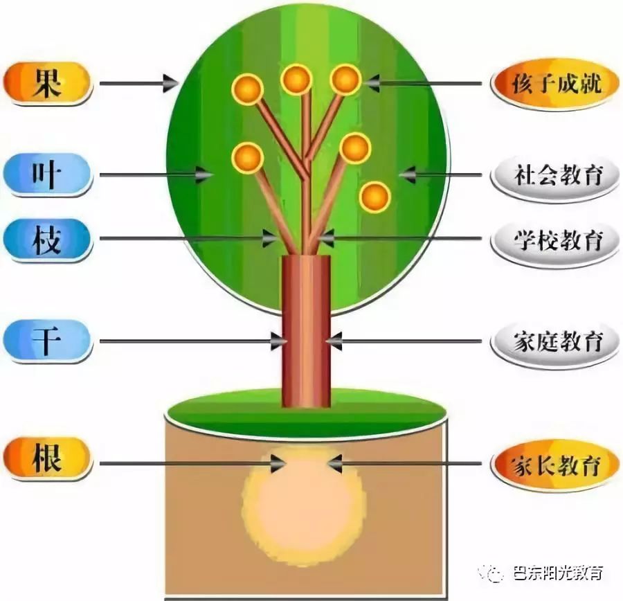 气压表达到的重要性与应用领域