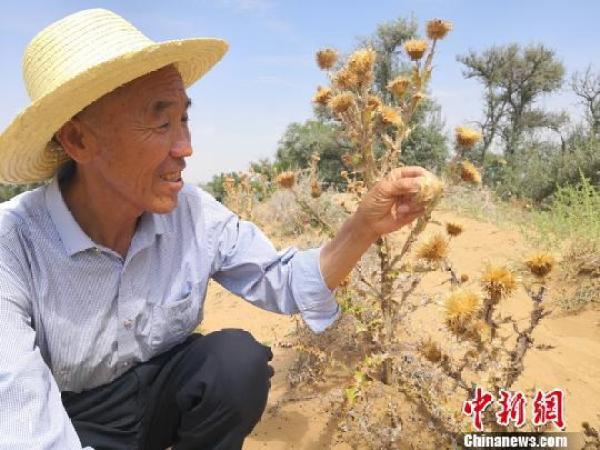 南京儿童河西专家门诊，守护儿童健康的坚实屏障