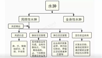 设计院测量外业，从理论到实践的全面解析