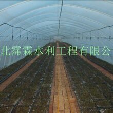 养虾大棚起雾，探索与解析