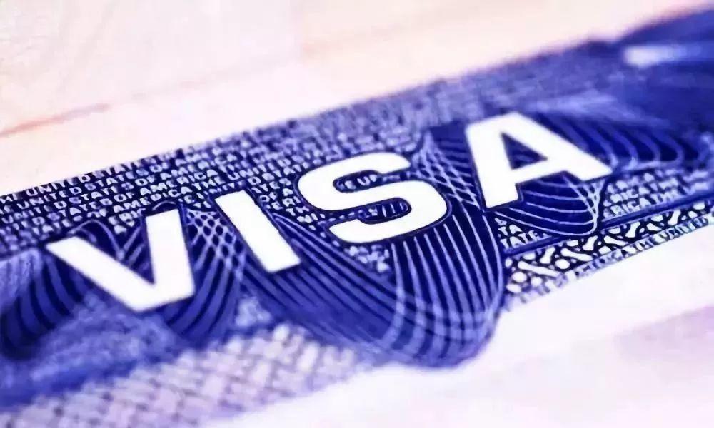 美国专业绿卡，探索申请之路与未来机遇