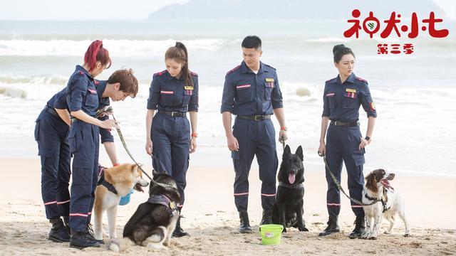 开局一条狗，人与犬的奇妙冒险之旅