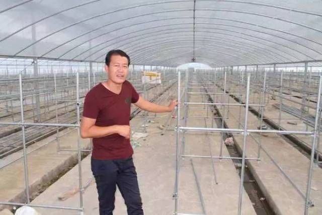 大棚养殖黄鳝技术视频，现代水产养殖的新篇章