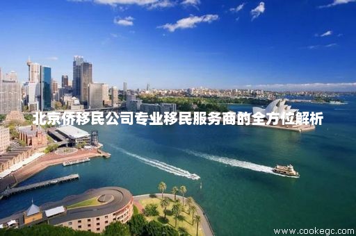 北京专业移民机构，引领移民服务的新时代