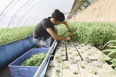 大棚养殖黑鱼的实践与探索，一张图片的价值