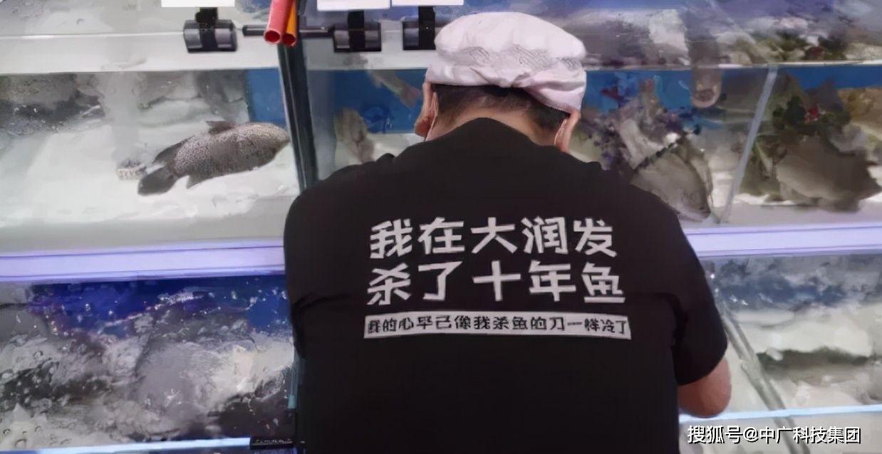 鱼的注册商标图案，品牌标识设计的独特魅力