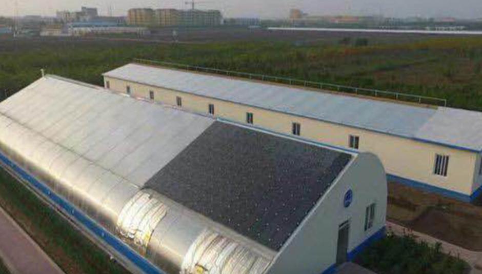 东北大棚养虾模式，一种创新的水产养殖方式