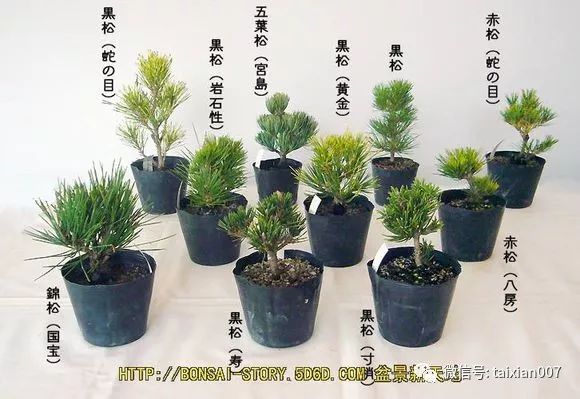 环境保护 第65页