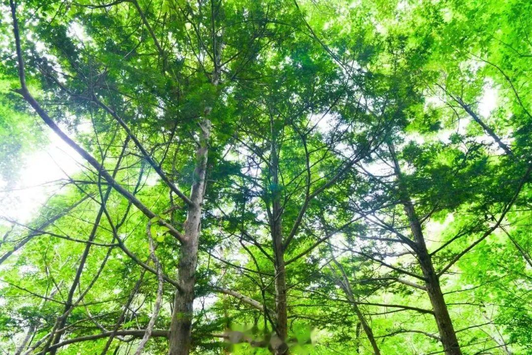 校园教育 第56页