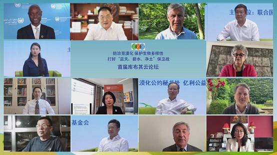 绿化品种的种类与特点，探索绿色世界的多样性