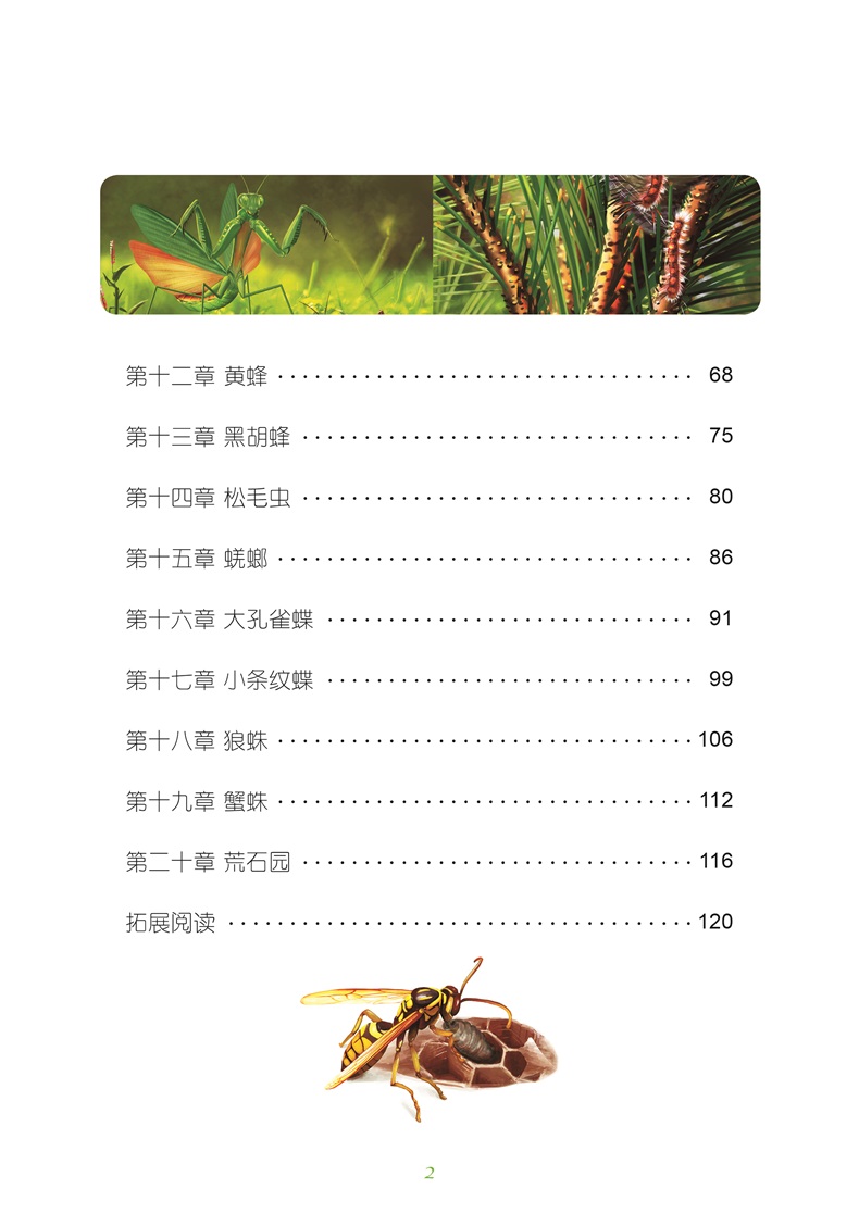 一本昆虫记多少钱，探寻书籍价格背后的故事