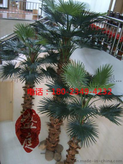 棕榈树品种繁多，各具特色，那么究竟哪个品种的棕榈树最好看呢？这是一个主观的问题，因为每个人对于美的定义都有所不同。然而，通过深入了解各种棕榈树的形态、特点和生长环境，我们可以发现一些品种在形态、色彩和整体美感方面表现出众，令人赞叹不已。