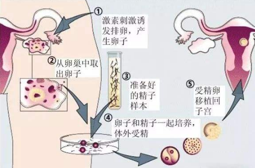 环境保护 第33页