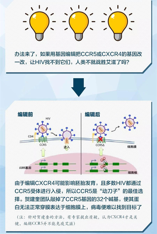 高海拔图标，探索与挑战的象征