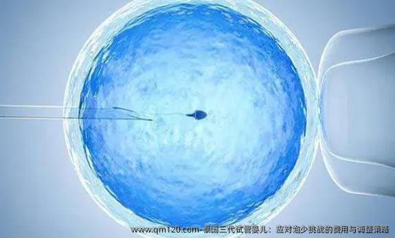 面对试管取卵太少，挑战与应对策略