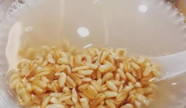 米酒蛋花饼，传统美食的魅力与创新风味
