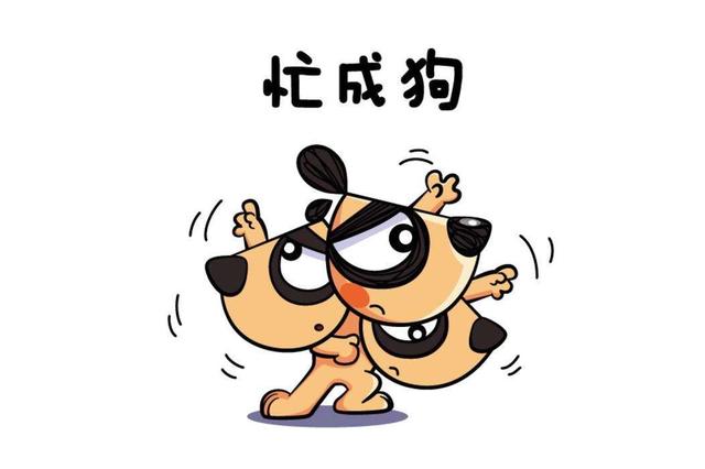 可啪表情包，一种独特的网络文化现象