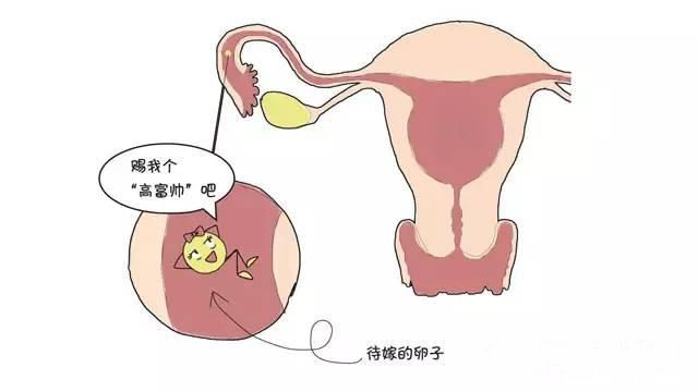 2025年6月11日 第13页