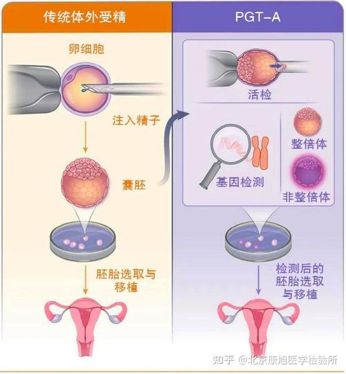 试管婴儿技术中取卵的激素条件解析