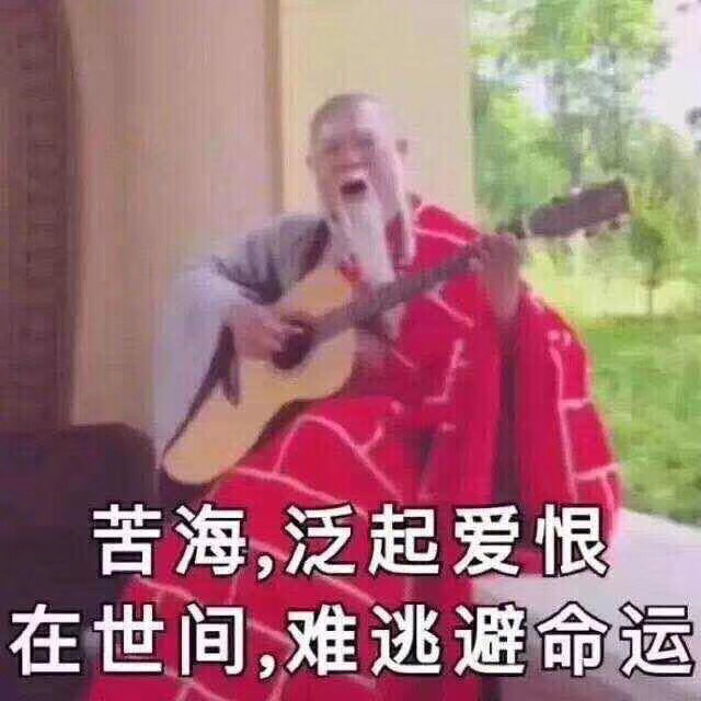 露胖次表情包，网络文化的新宠