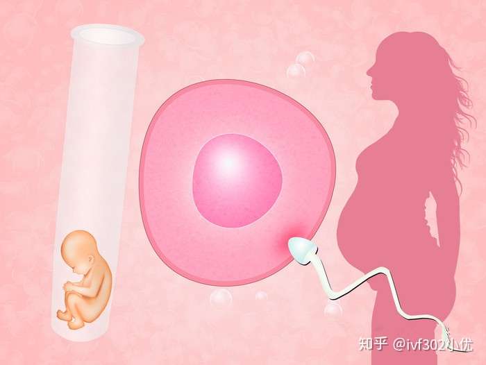 取卵后腹水了该怎么办？全面解析应对措施