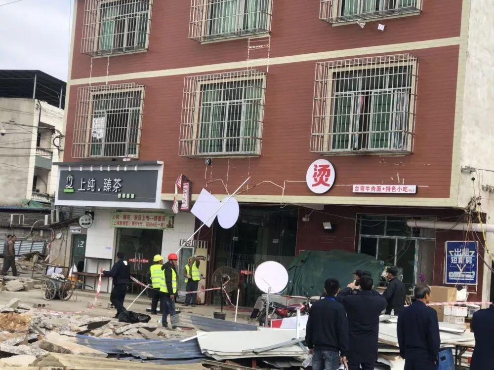 绿化带树苗品种的选择与应用